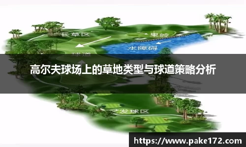 ROYAL皇家88官方网站